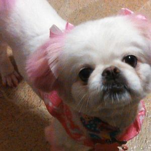 Meet your Posher, Derrick